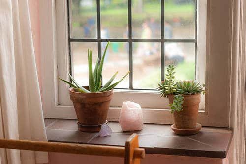  Windowsill Decor Ideas with Plants 2
