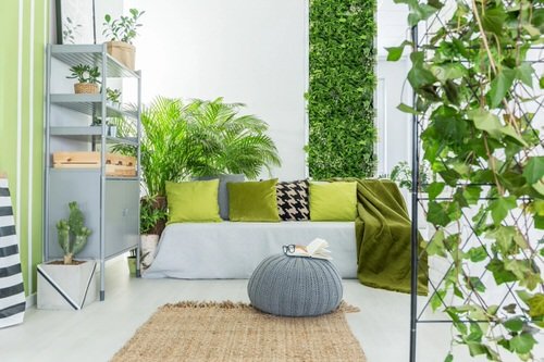 Indoor Meditation Garden Ideas 7