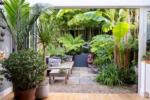 Small Garden with Tropical Vibes ideas