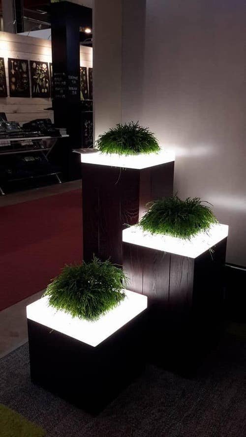 DIY Indoor Illuminated Planter Ideas 4