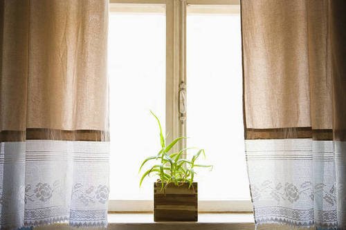  Windowsill Decor Ideas with Plants 4