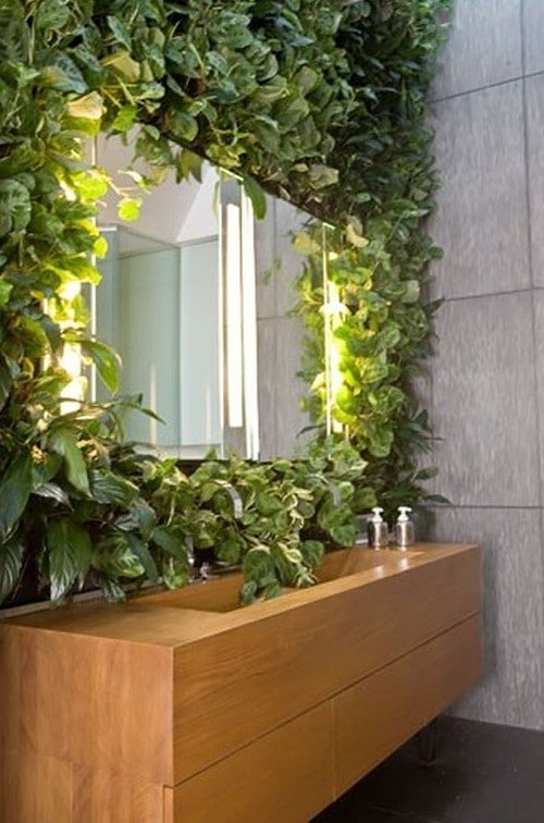 Best Plants for a Vertical Wall 4