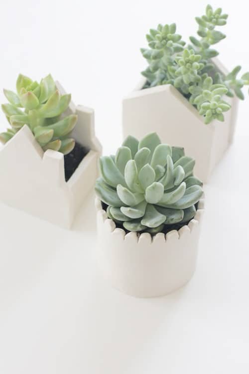 DIY Houseplant Pots Ideas and Makeover 5