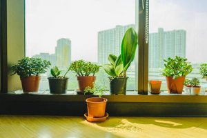 30 Windowsill Decor Ideas with Plants | Balcony Garden Web