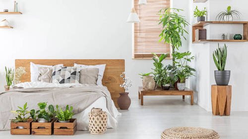 Apartment Decoration Ideas with Plants 5