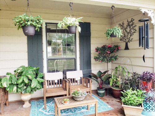 Porch Decor Idea with Plants 8
