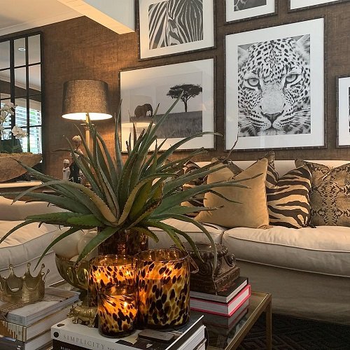 Aloe vera Indoor Decor Ideas 27