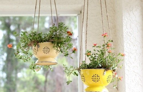 Planter Ideas from Kitchen Items 7