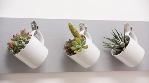 Planter Ideas from Kitchen Items 2