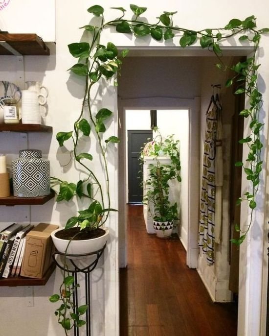 Create a Tranquil Oasis in Your Small Apartment with Plant Decor