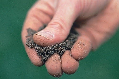 DIY Soil Tests You Can Perform at Home