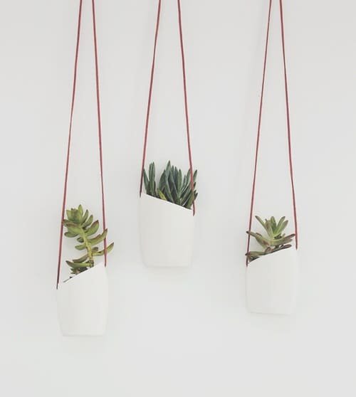DIY Plant Hanger Ideas 5