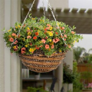 20 Unique Indoor Plants in Hanging Baskets Ideas | Balcony Garden Web