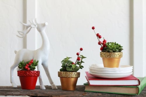 Eye-Catching Succulent Christmas Table Decoration Designs 6