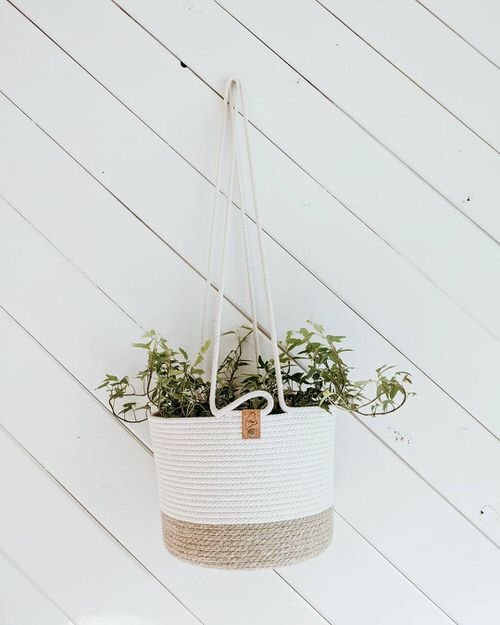 Hanging Strings Plant Ideas 22
