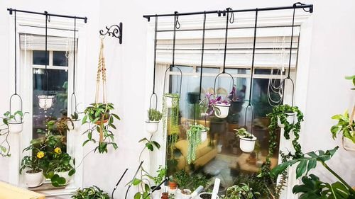 Best of Indoor Plant Décor on Instagram 7