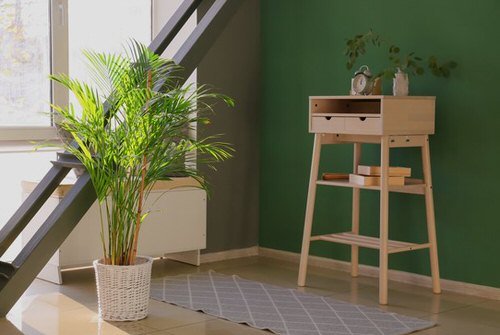 Décor Ideas with Indoor Palms 7