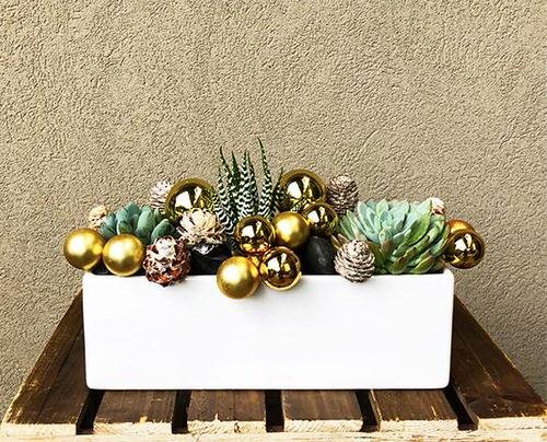 Eye-Catching Succulent Christmas Table Decoration Designs 7