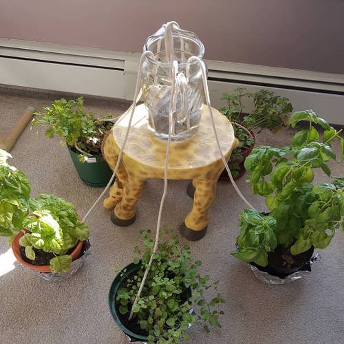 Indoor Herb Garden on Instagram 7