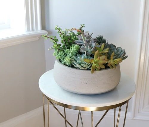 Table Decorating Ideas with Small Potted Houseplants 7