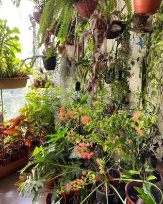 20 Top Balcony Gardens of November 2020 on Instagram