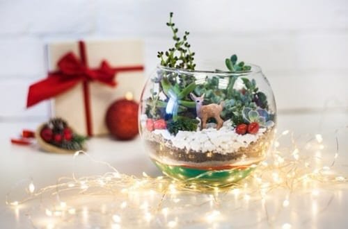 Eye-Catching Succulent Christmas Table Decoration Designs 15