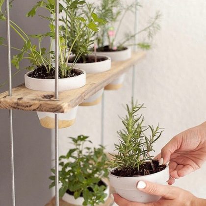 50 Indoor Herb Gardens on Instagram | Balcony Garden Web