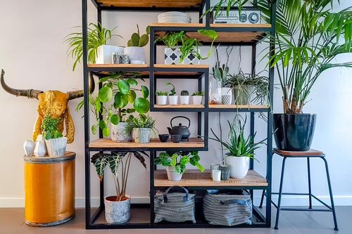 Plant Shelves Ideas 7