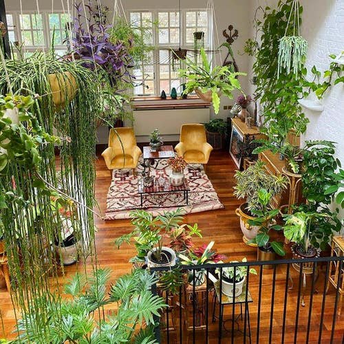 Best of Indoor Plant Décor on Instagram 8