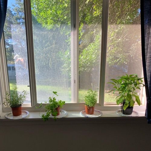 Indoor Herb Garden on Instagram 8