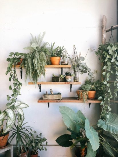 20 Eye Catching Plant Shelves Ideas | Balcony Garden Web