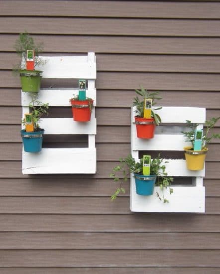 15 Rainbow Vertical Garden Ideas | Balcony Garden Web