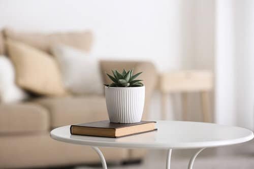 Table Decorating Ideas with Small Potted Houseplants 8