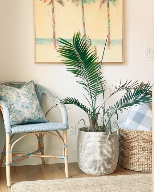 Tropical Indoor Plants Pictures and Ideas from Instagram 8