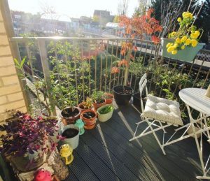 20 Top Balcony Gardens of November 2020 on Instagram