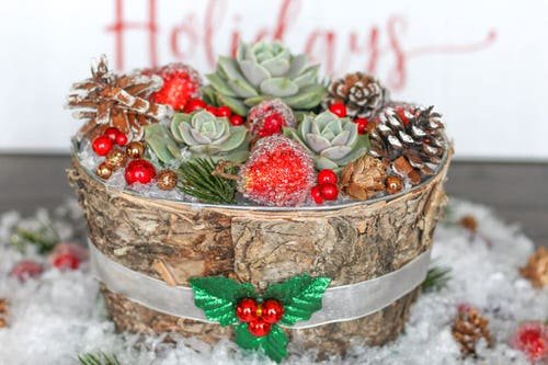 Eye-Catching Succulent Christmas Table Decoration Designs