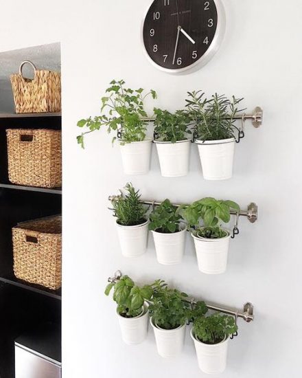 50 Indoor Herb Gardens on Instagram | Balcony Garden Web