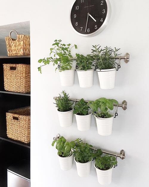 Indoor Herb Garden on Instagram