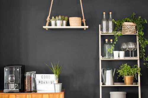 Plant Shelves Ideas