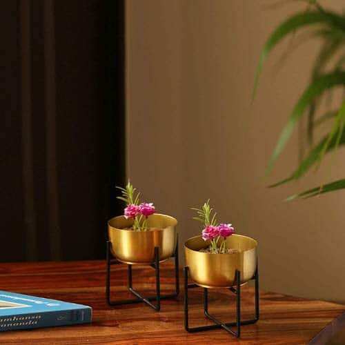 Table Decorating Ideas with Small Potted Houseplants