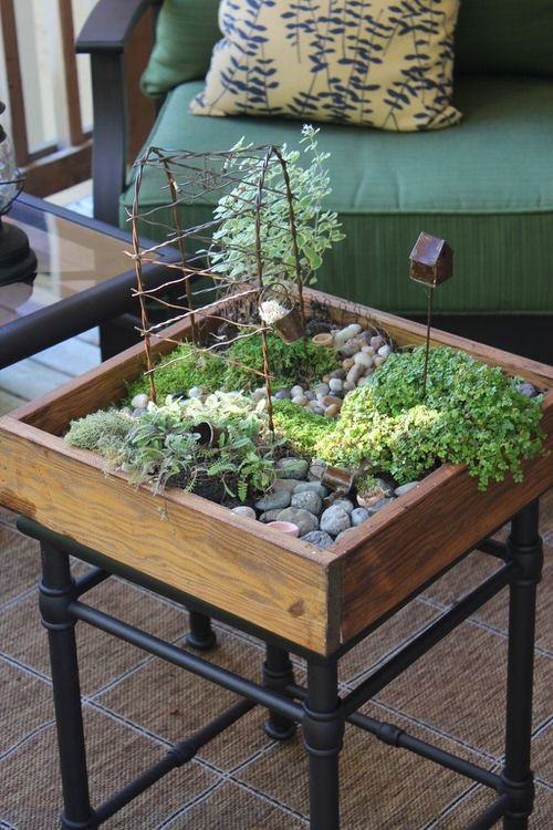 Tiny Tabletop Garden Ideas