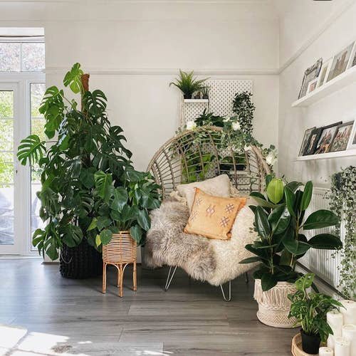 Moroccan Décor with Plants 10