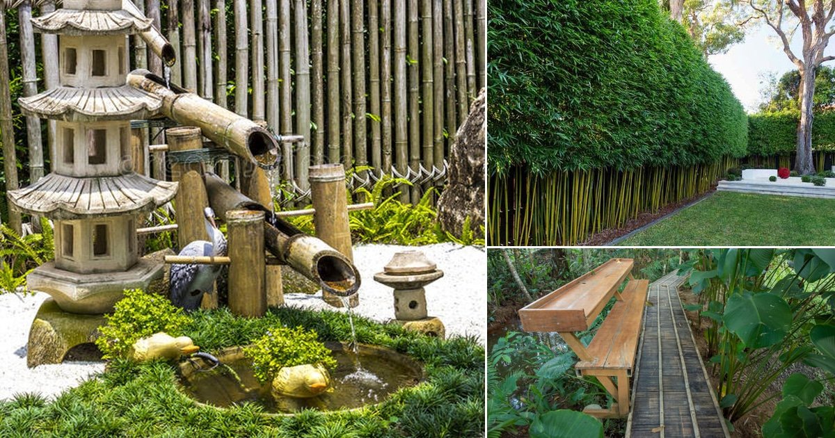 Bamboo Bliss: 10 Backyard Bamboo Garden Designs That Will Transport You ...