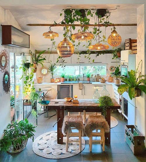 Best of Indoor Plant Décor on Instagram 12