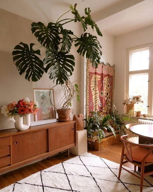Tropical Indoor Plants Pictures and Ideas from Instagram 13