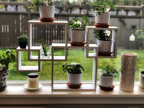 Indoor Herb Garden on Instagram 16