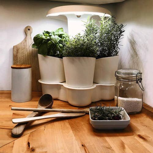 Indoor Herb Garden on Instagram 17