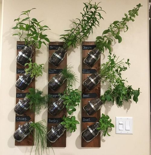 Indoor Herb Garden on Instagram 21