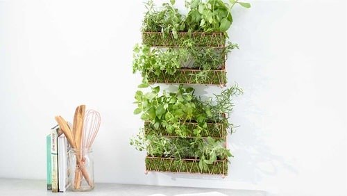DIY Herb Wall Ideas 2