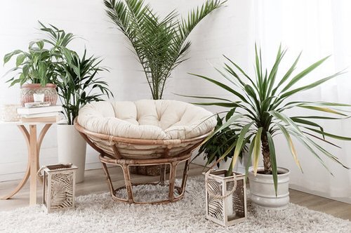 Décor Ideas with Indoor Palms 2